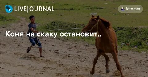 Поднял на скаку