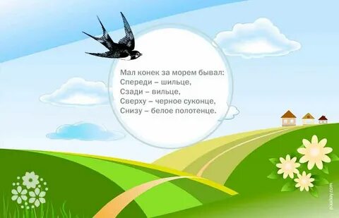 Ласточка загадка