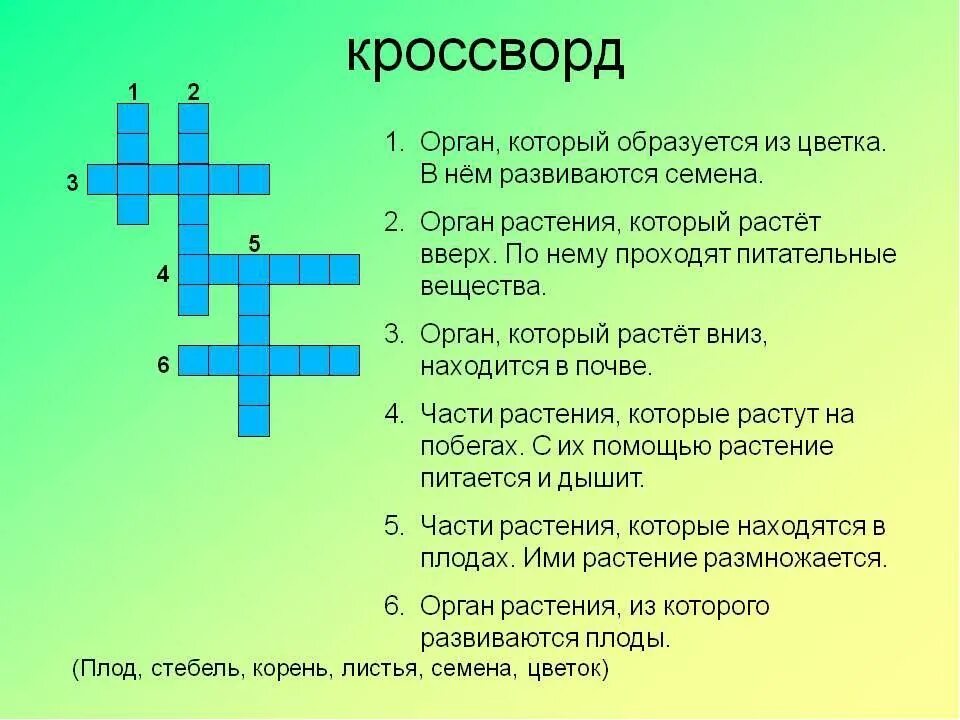 Вопрос к слову сам. Кроссворд по биологии. Кроссворд по биологии 7 класс. Кроссворд на тему биология. Биология 5 класскросфорд.