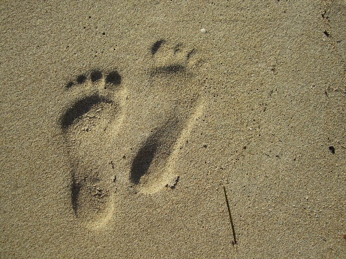 След м. Отпечаток стопы на песке. Следы на земле. Отпечаток босой ноги. Следы ног на грунте.