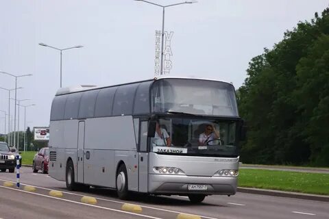 50 автобус аренда