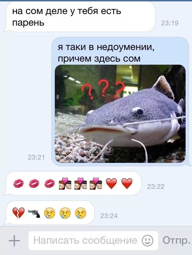 Посуди сома. Шутки про сома. сама посуди. сома посуди. посуди сома мем.