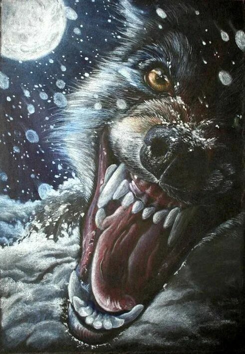 Книга волк оборотень. Покажи вой злого волка. Картинки оборотни на аватар.