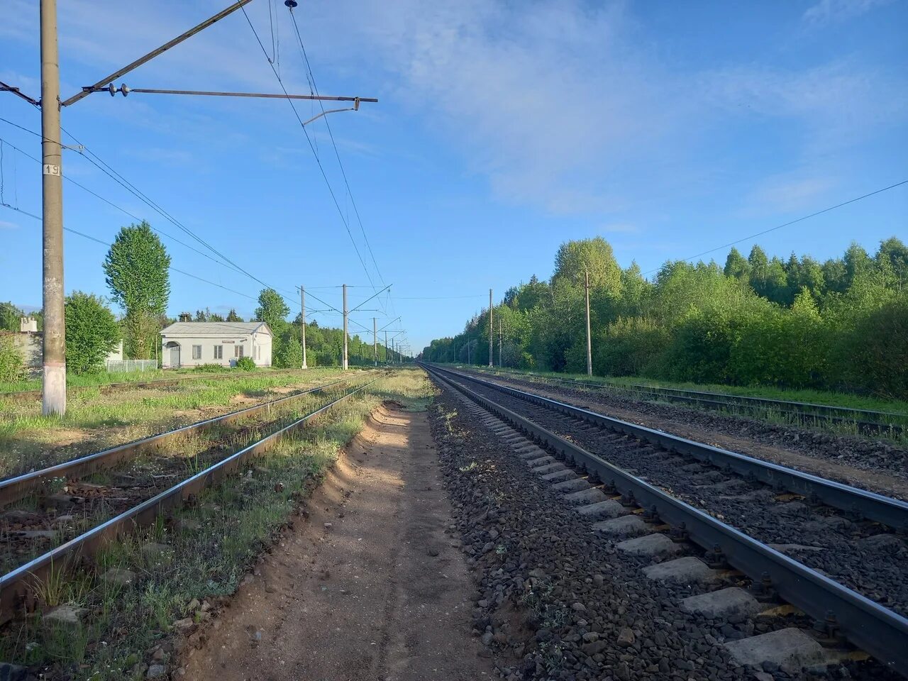 Платформа чаща. Платформа чаща. Чаща станция витебское направление. Мëртвая станция вики. Станция чаща.
