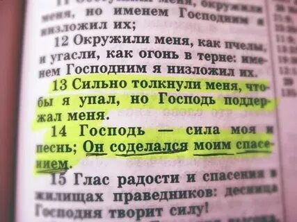 Низложить