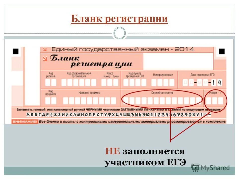 Бланк регистрации егэ информатика