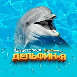 Дельфинарий севастополь