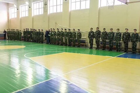 Зарница отзывы