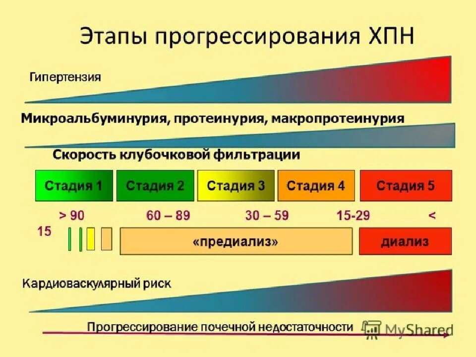 Хпн 4. Этапы прогрессирования хбп. стадии развития хпн. стадии развития хронической почечной недостаточности. прогрессирование почечной недостаточности.