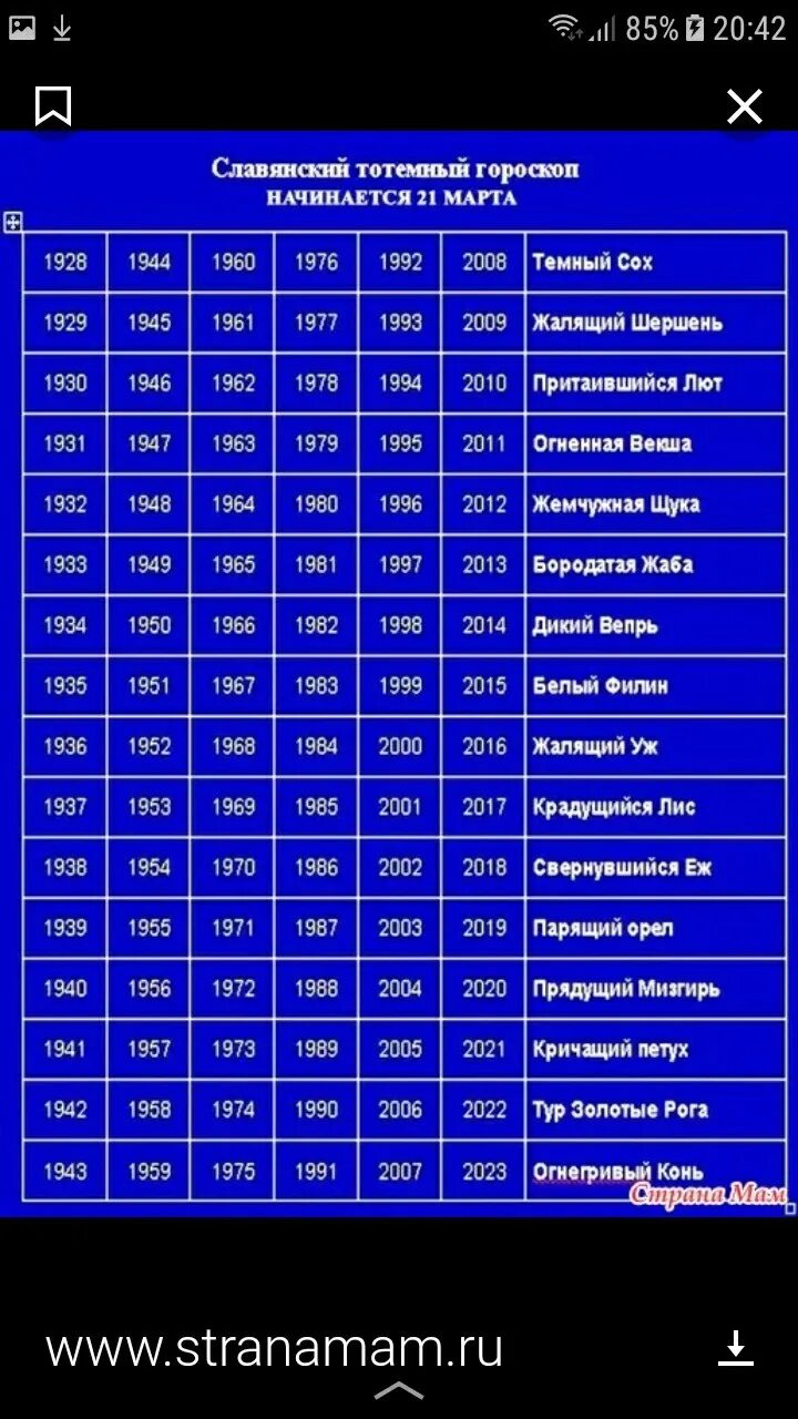 Чей год славянский. Славянский гороскоп. Славянский гороскоп по годам. Славянский гороскоп по годам рождения. Славянский гороскоп года.