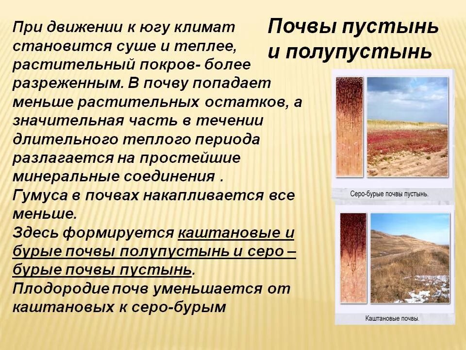 Полупустыни тип почвы. Пустыни и полупустыни почва. почвы пустынь и полупустынь в россии. почвы пустынь и полупустынь в евразии. почвы пустыни и полупустыни в россии.