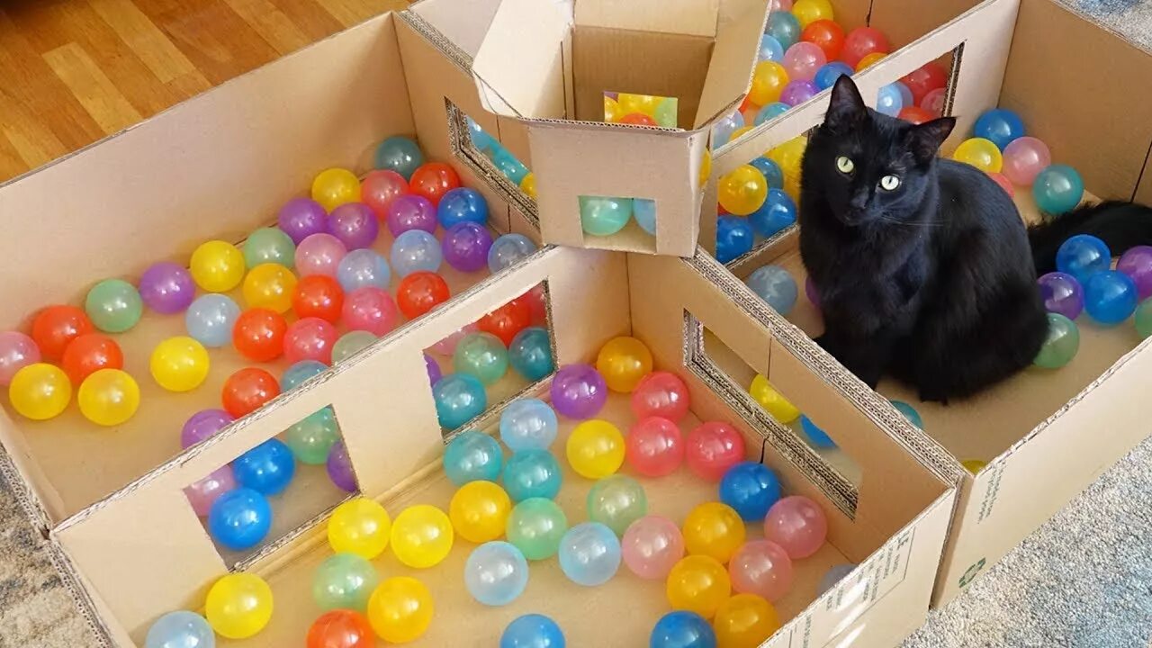 Котю шарики