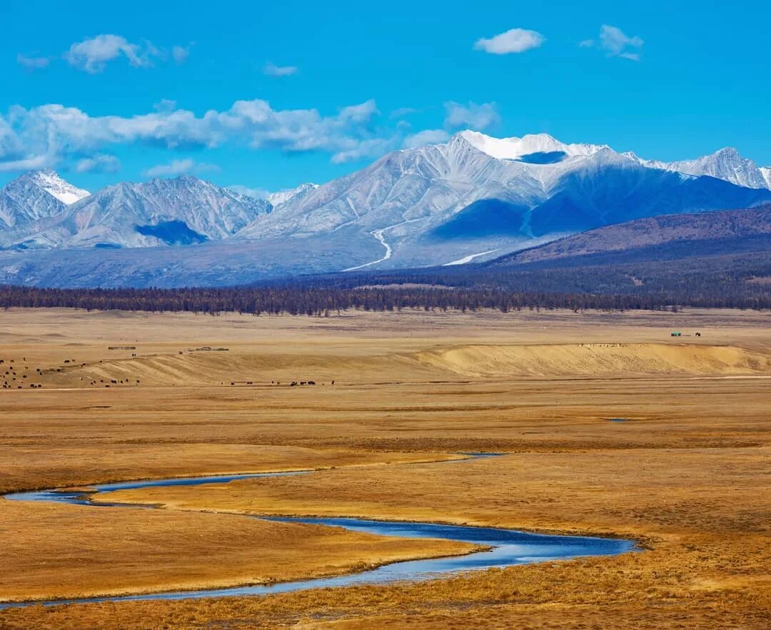 аршан хонхино. аршан холмы. аршан внутренняя монголия. внутренняя монголия. саян горы окинский район.