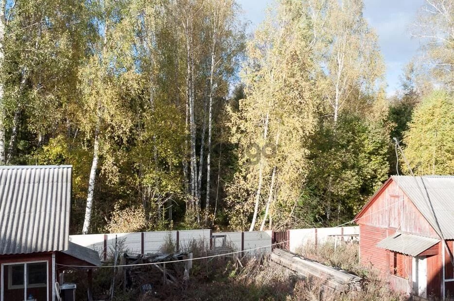 Погода снт березка. Снт ламоново -- 2. Погода снт березка. Снт березка натальино. Погода снт березка.