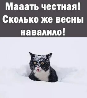 Сколько до весны 2023