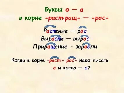 Заросли исключение