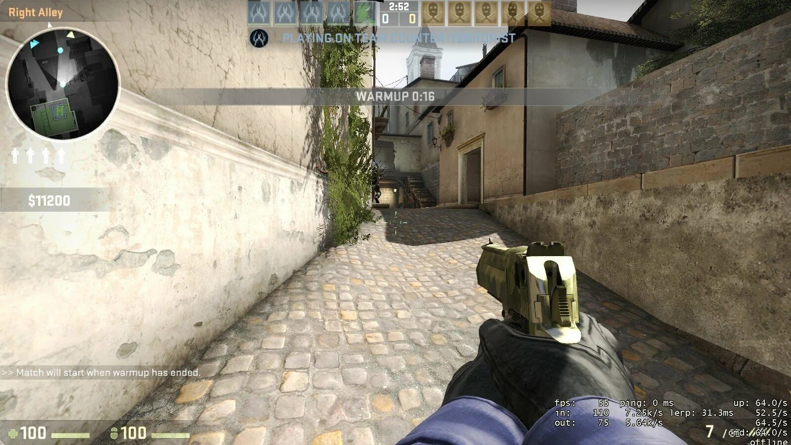 1 версию cs go