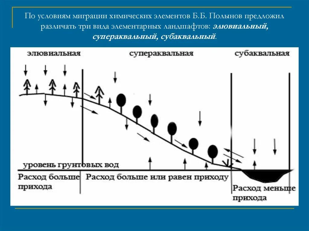 Элементы миграции