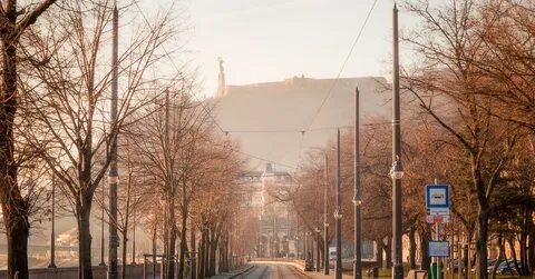 Перспектива иваново