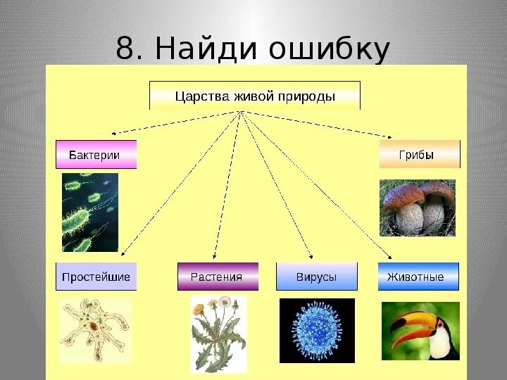 Царство растений животных грибов бактерий вирусов. Царство животных царство растений царство грибов царство бактерий. Царства живой природы 5 класс биология. Бактерии грибы растения животные это царство. Какие организмы относятся к данной группе