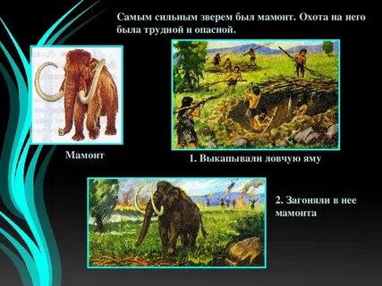 С какой целью люди охотились на мамонтов
