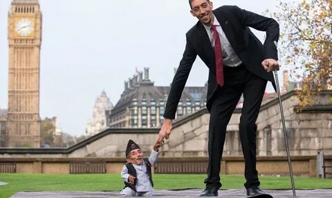 Эротикалық жалаңаш волейболшылар онлайн видео