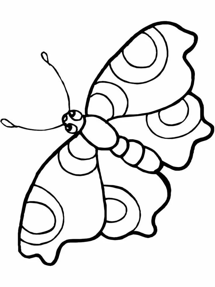 Насекомые распечатать для детей Images of invertebrates to use for display. Pictures of insects, Insects, Printa