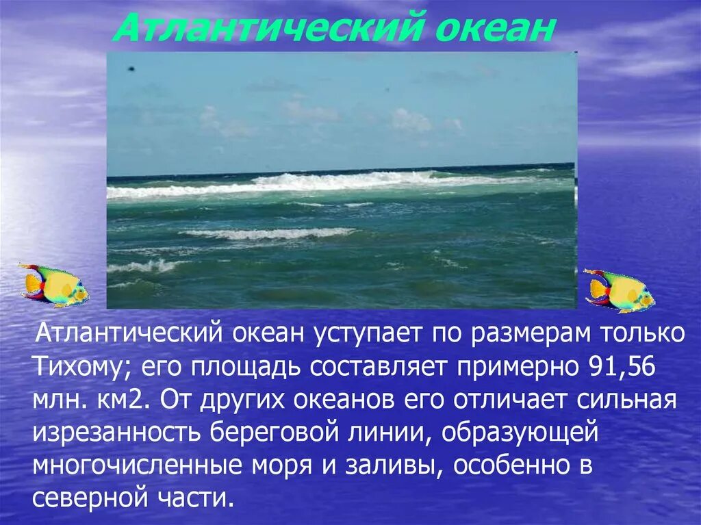 Береговая линия Атлантического океана. Атлантический океан факты. Описание Атлантического океана. Интересные факты о морях и океанах. Почему именно атлантический океан стал по выражению