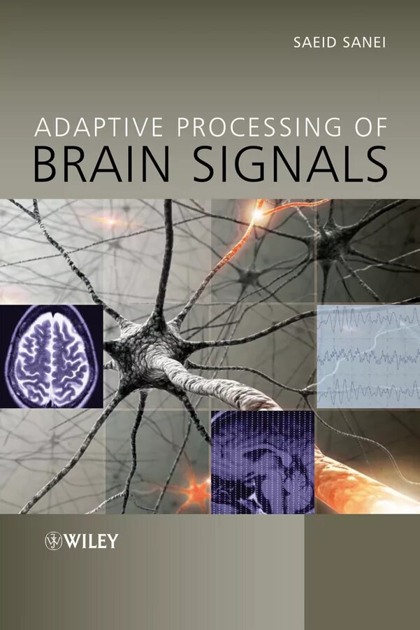 Brain processing. Brain Signal.