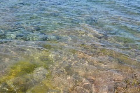 Баренцево море вода