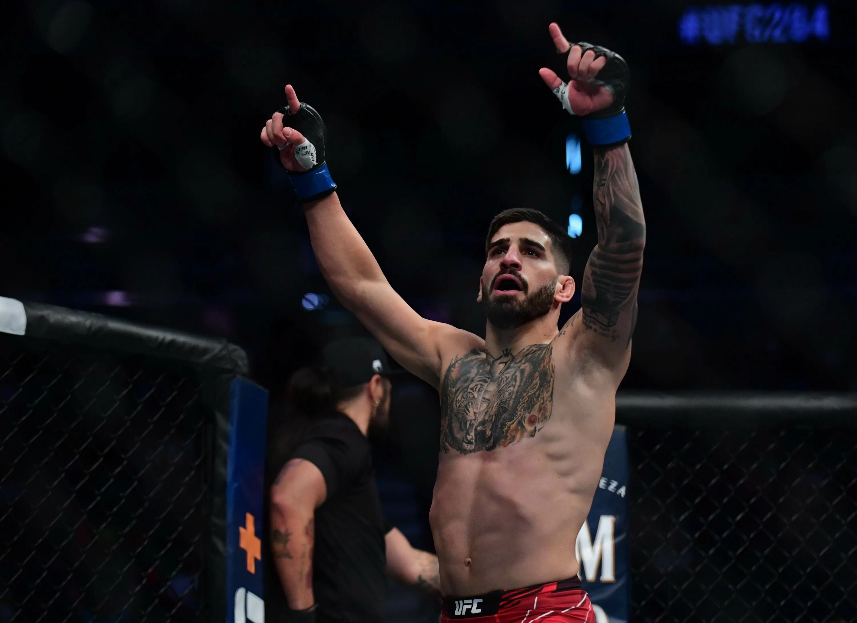 Топурия мма. Топурия боец юфс. Илия топурия. Грузинский боец топурия. Топурия боец юфс.