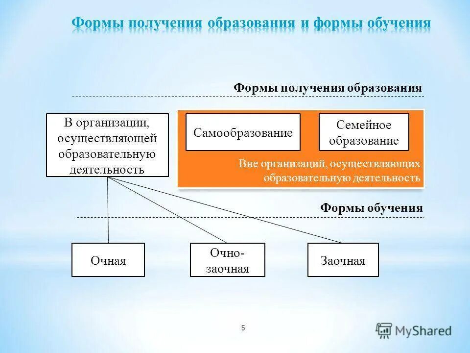 Образование рф ru. Формы обучения по закону об образовании. Формы обучения в школе по закону. Формы получения образования. Различные формы образования.