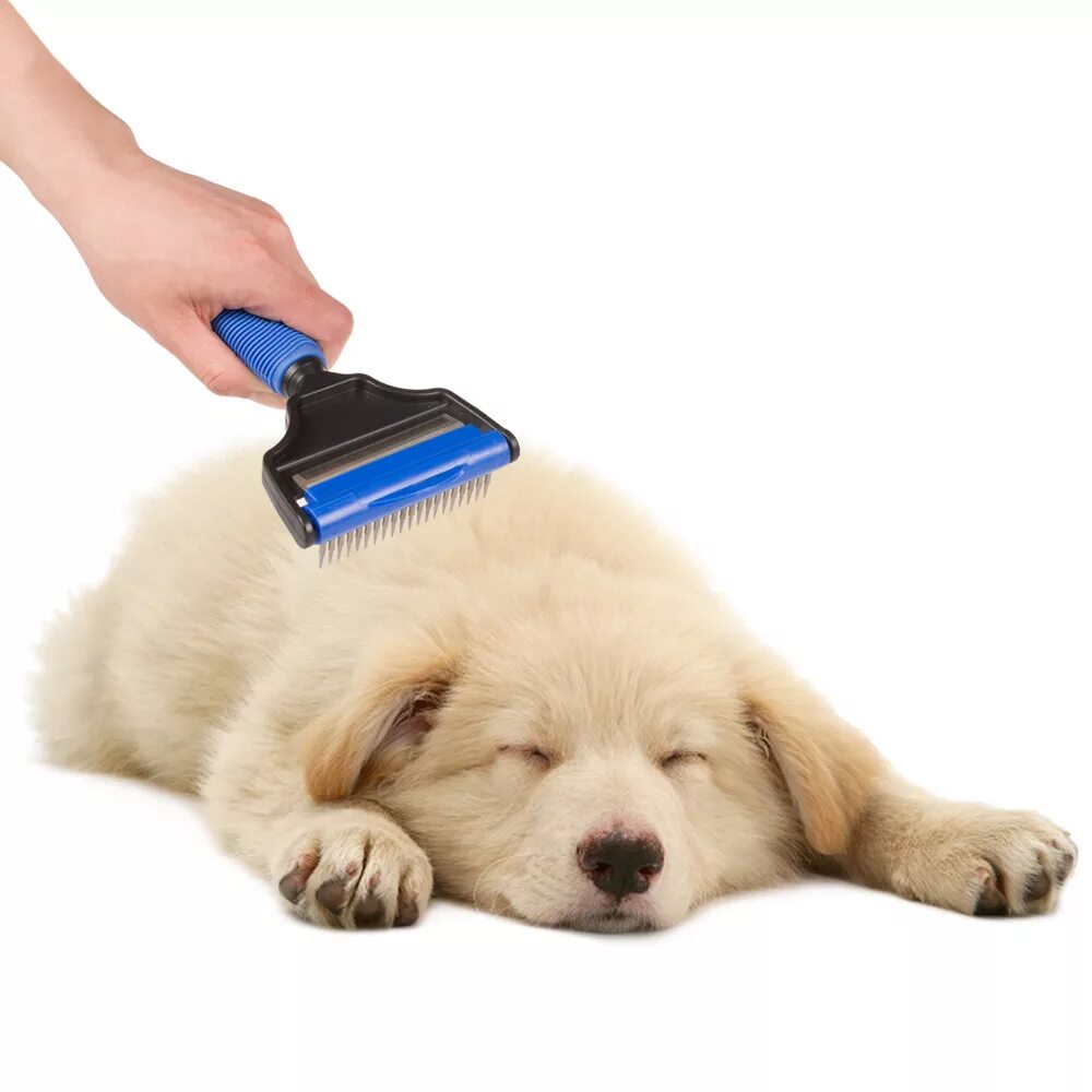 Pet clean. Вычесывание собак. Щенок с щеткой. Щетка грумер для животных. Самоочищающаяся щетка для домашних животных.