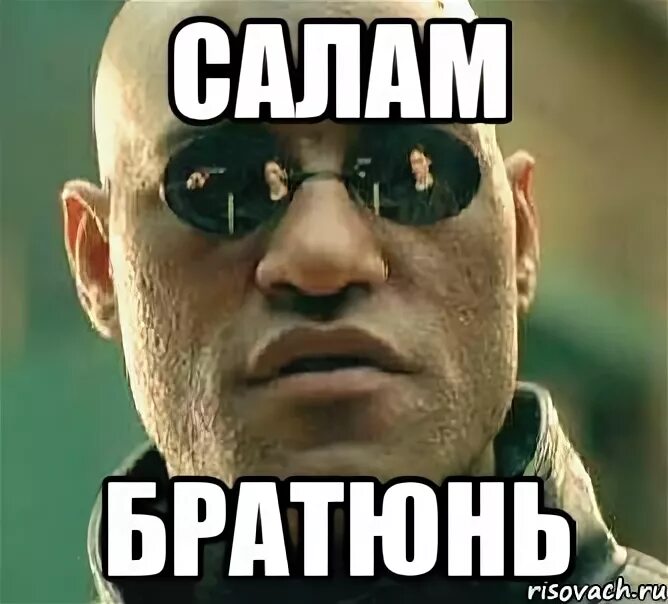 Общий салам. Сало Мем. Салам алейкум Мем. Салам брат Мем. Салам алейкум братьям.