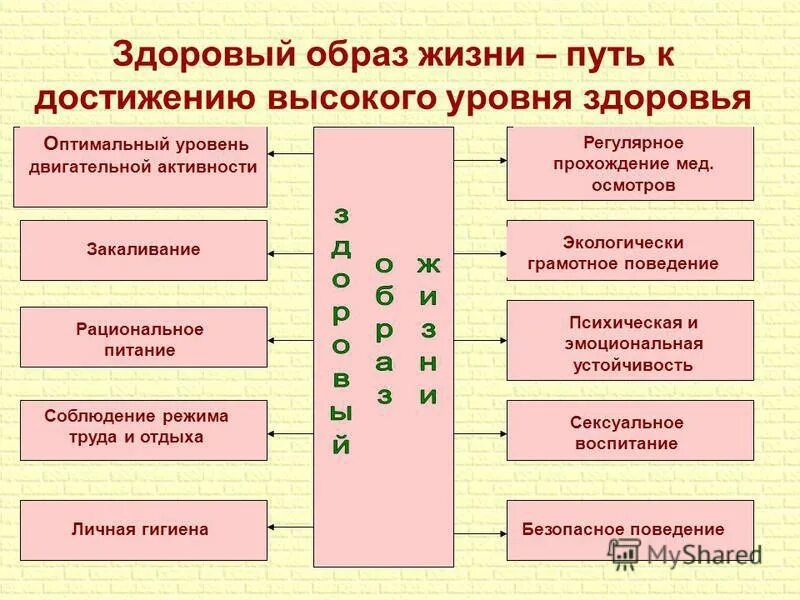 Здоровый образ жизни путь к достижению высокого уровня здоровья. Общие понятия о здоровье ОБЖ. Пути достижения высокого уровня здоровья. Показатели здоровья ОБЖ.