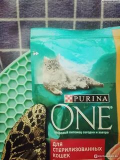 Purina one курица