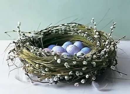 Сделать гнездо для яиц своими руками