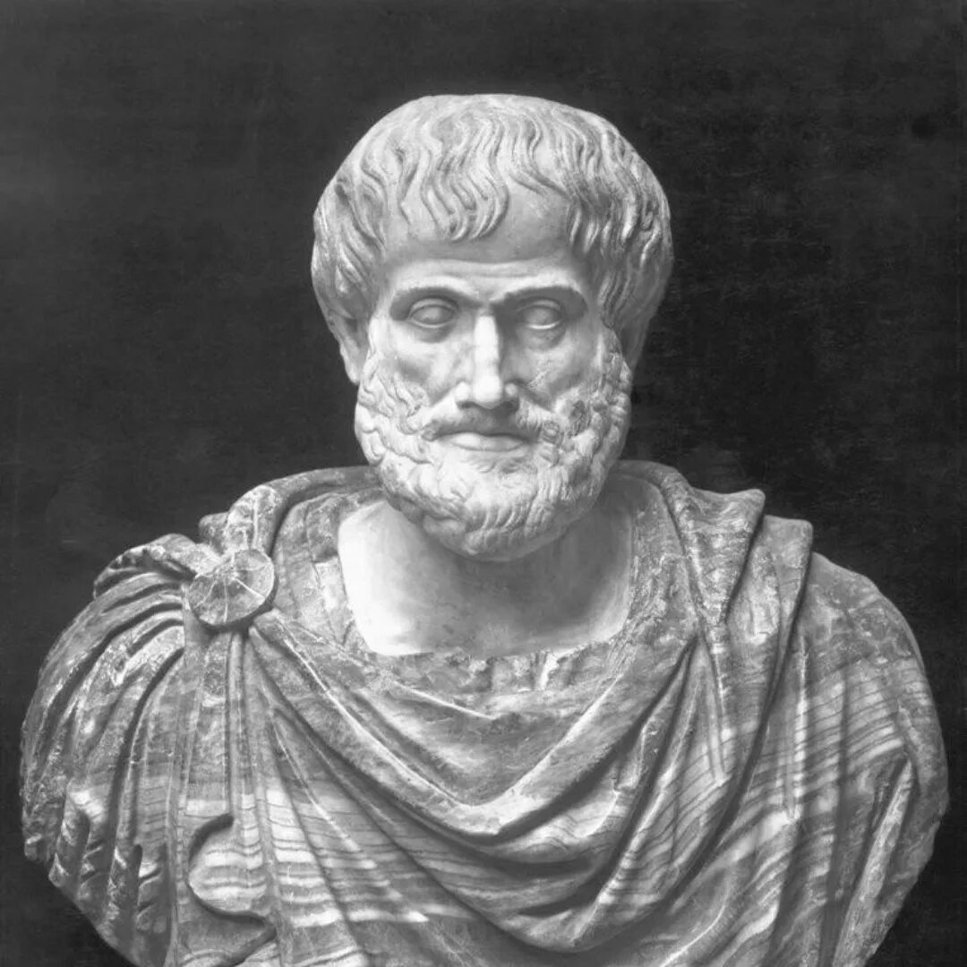 Аристотель оратор. Аристотель из Стагиры Аристотель. Аристотель портрет. Портрет философа Аристотеля.