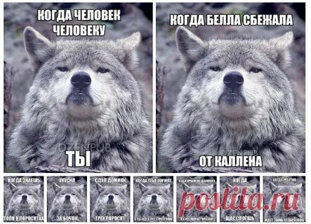 Никого не кусает