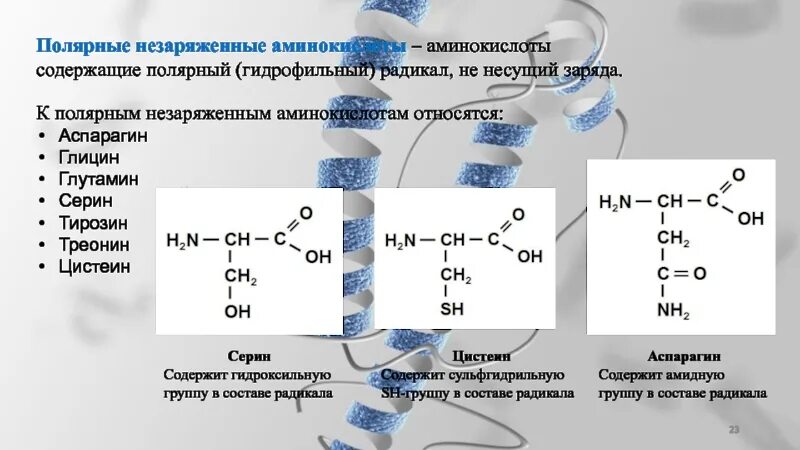 Радикал имеет формулу