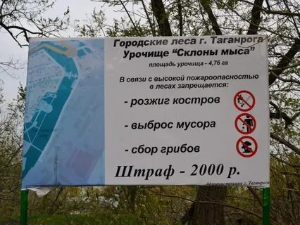 Русский лес таганрог