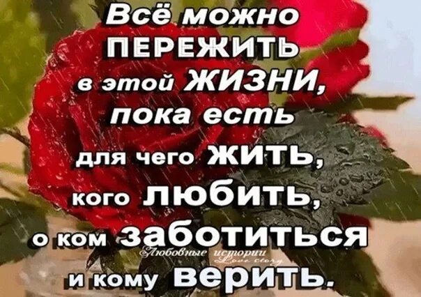 Кому верить в этой жизни