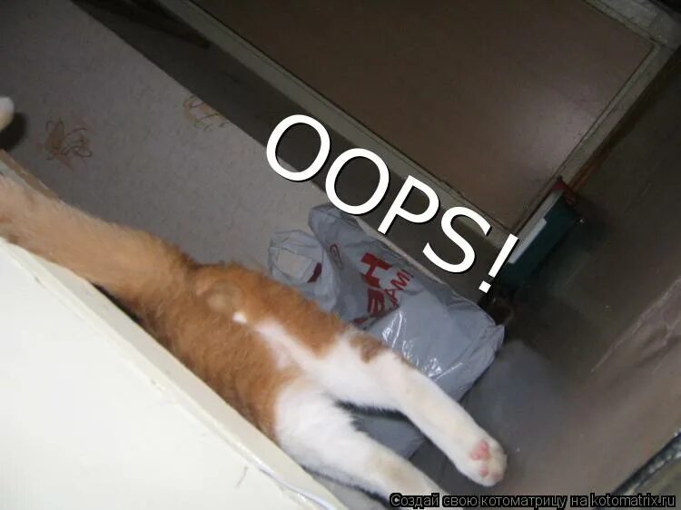 пришел какать иди какай. приколы про неловкие ситуации. пришел какать иди какай. пришел какать иди какай. гараж прикол.