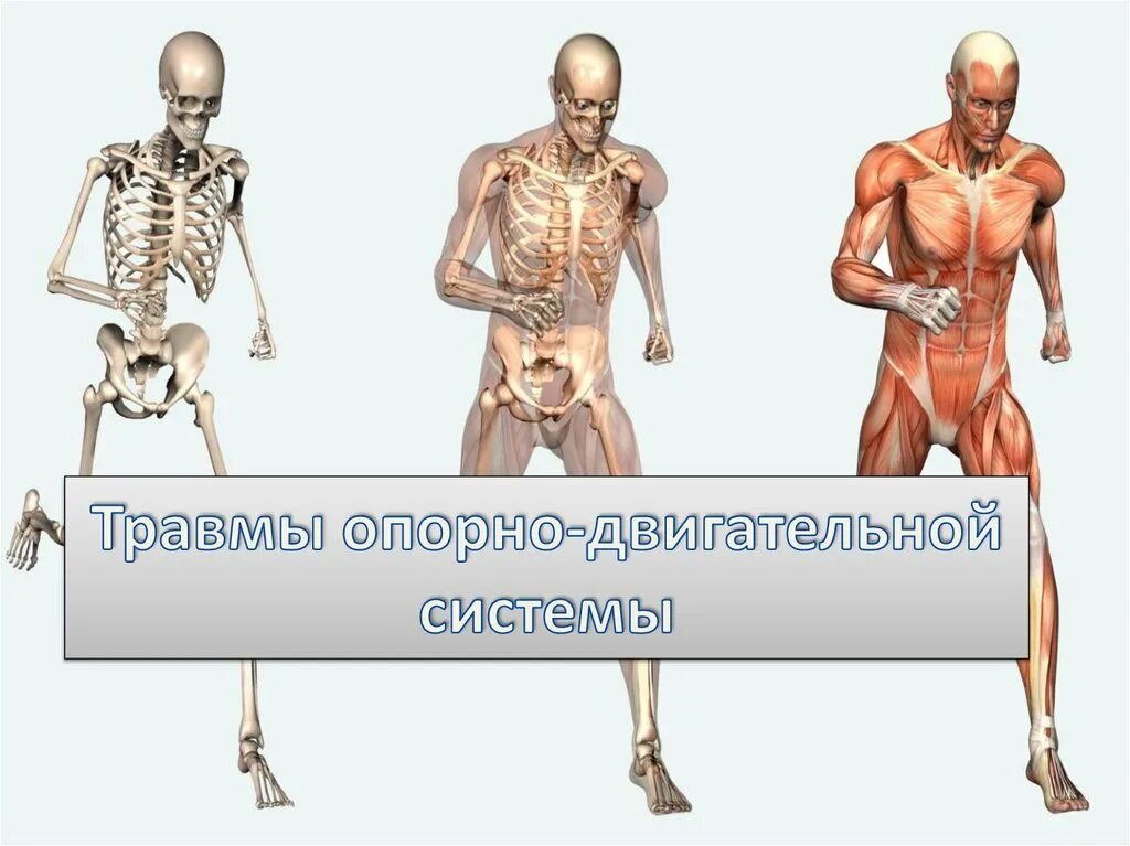 Заболевание опорно двигательный аппарат человека. Травмы опорно-двигательного аппарата. Травмы опорно двигательной системы. Травмы опорнодаигательного аппарата. Перелом опорно двигательного аппарата.