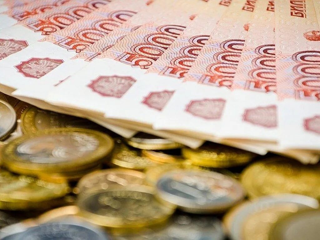 Поддержка из бюджета
