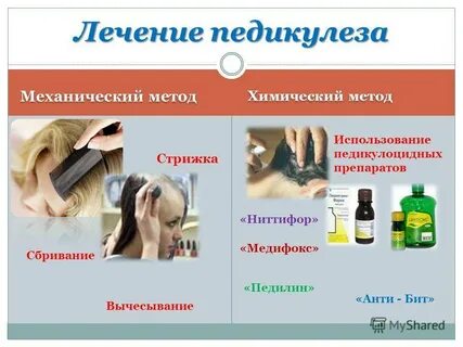Вши обрабатывать