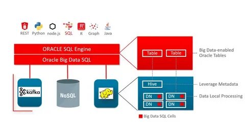 Oracle data