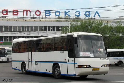 Москва юрьев польский автобус расписание щелковский автовокзал