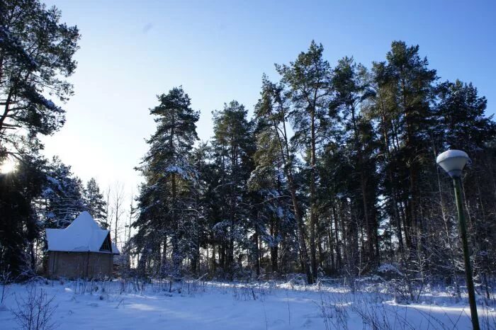 зеленый бор детская. зеленый бор детская. зеленый бор 1 20. детский оздоровительный лагерь зеленый бор. город полевской зеленый бор.