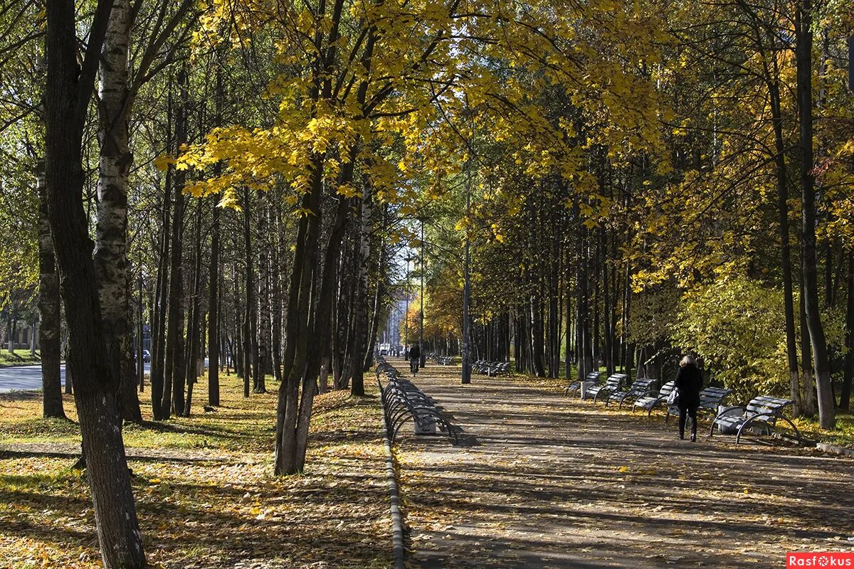 Октябрь йошкар. Осенний парк Йошкар Ола. Аллея здоровья Йошкар-Ола осень. Йошкар-Ола Золотая осень. Йошкарала осень Золотая.